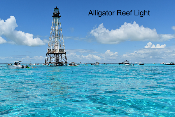 alligator reef swim snorkel islamorada