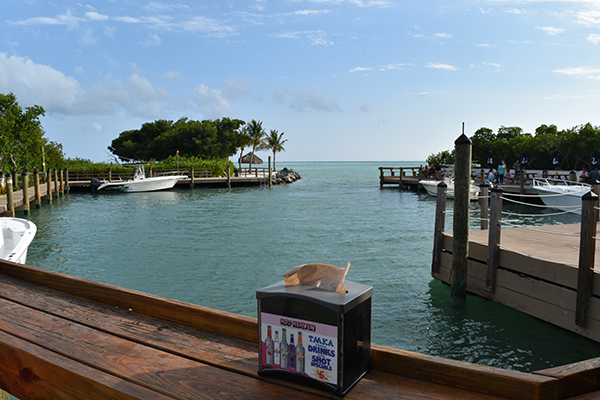 hog heaven boat dock islamorada fl