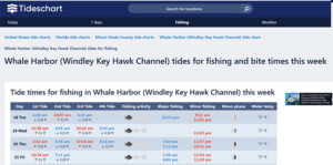 best time to fish islamorada