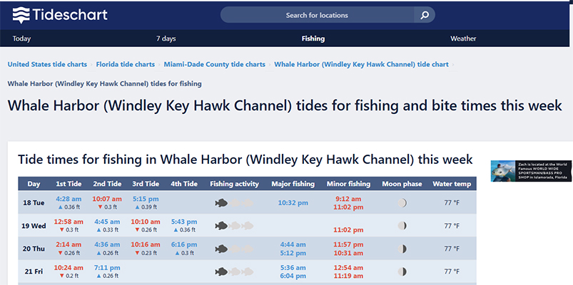 best time to fish islamorada