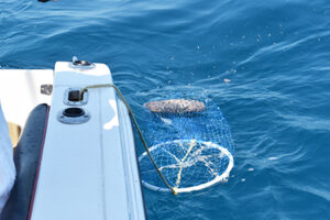 chum bag florida islamorada keys fishing