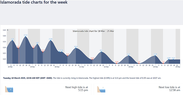 islamorada tide chart for this week
